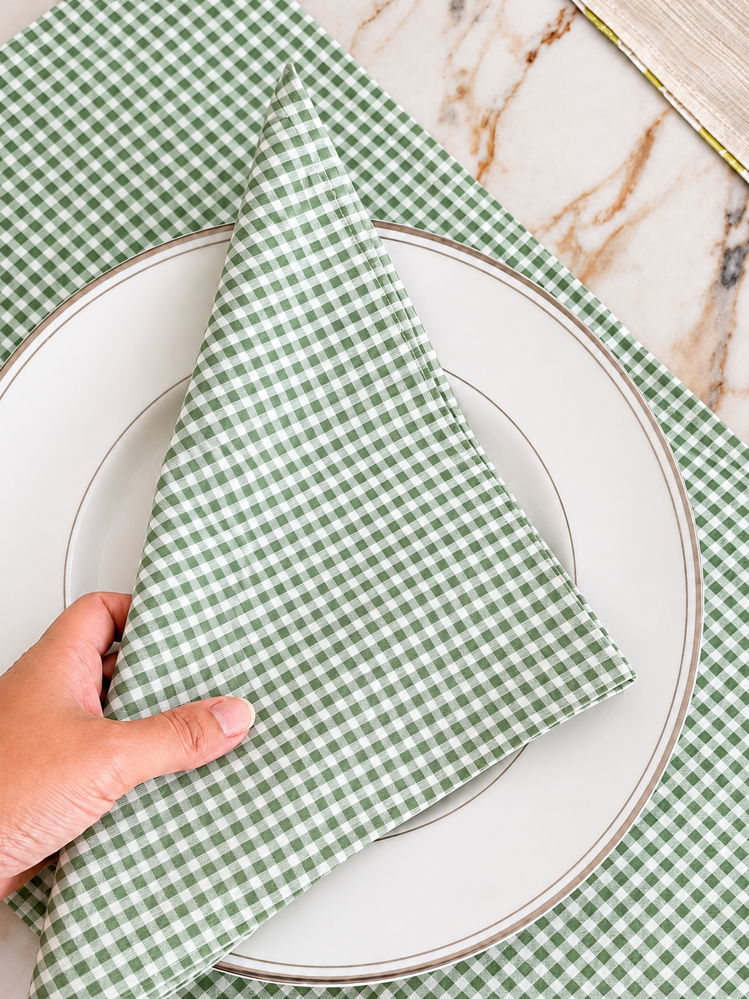 Sage Gingham placemats